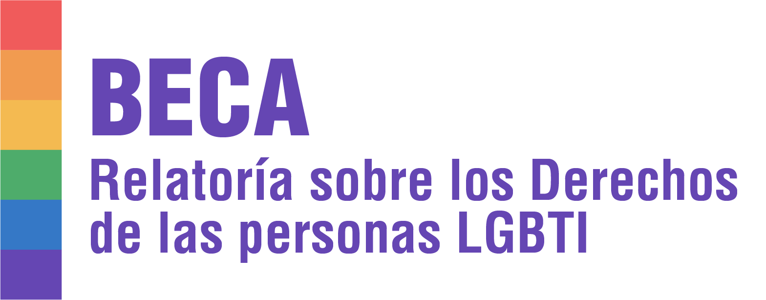 Beca para la Relatora sobre los Derechos de las personas LGBTI perodo 2024-2025